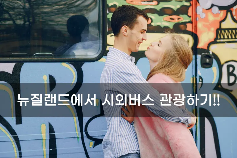 在新西兰进行乡村巴士旅游